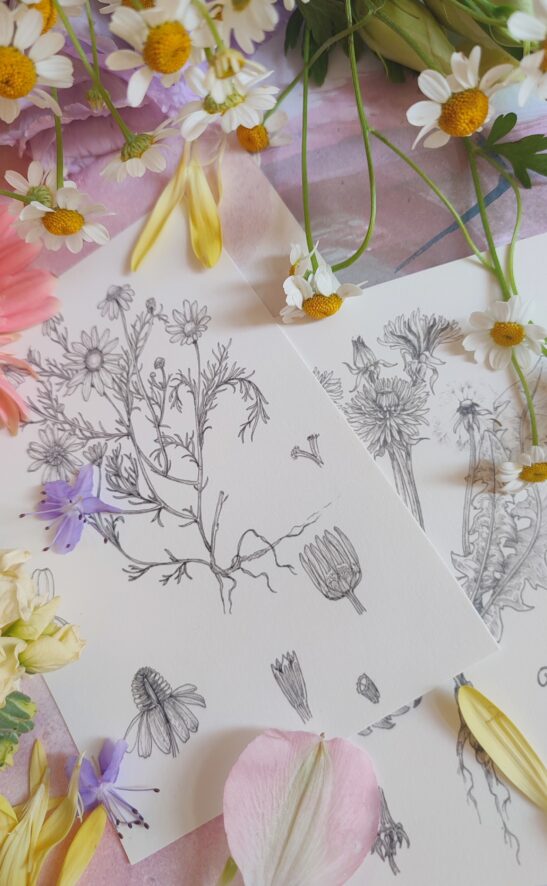 Pastels - Image 5