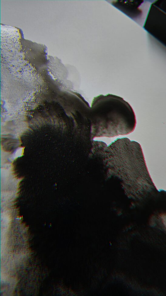 Essence - Image 2
